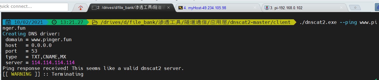 dnscat-client-ping